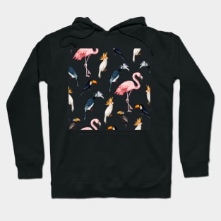 Tropical bird pattern Hoodie